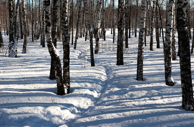 Similar image 21715454