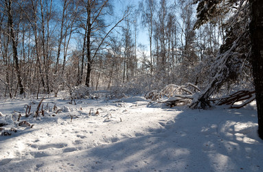 Similar image 21715455