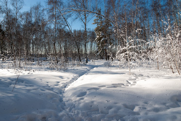 Similar image 21715456