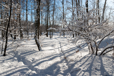 Similar image 21715457