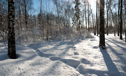 Similar image 21715458