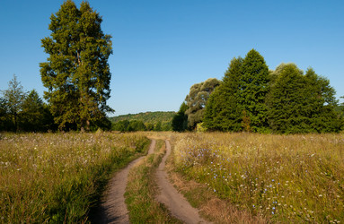 Similar image 21714381