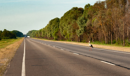 Similar image 21714383