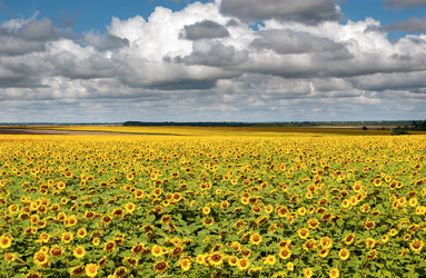 Similar image 21714384