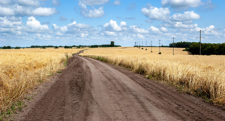 Similar image 21714385