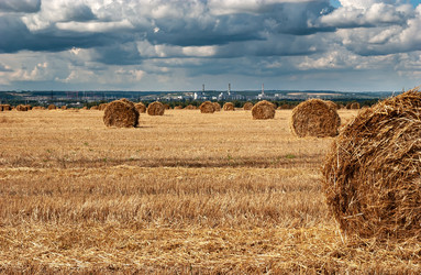 Similar image 21714386