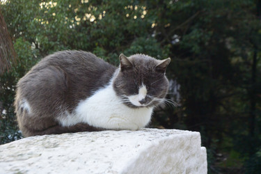 Similar image 21714388