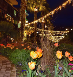 Similar image 21714400