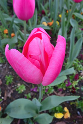 Similar image 21714403