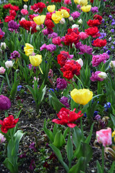 Similar image 21714404