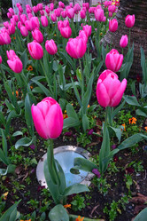 Similar image 21714405