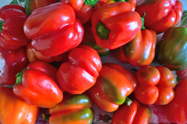 Similar image 21714406