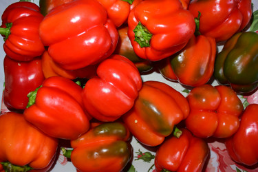 Similar image 21714407