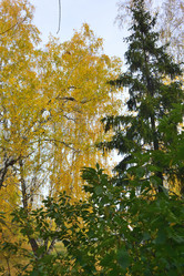 Similar image 21714408