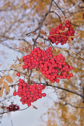 Similar image 21714409