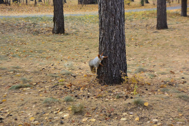 Similar image 21714410