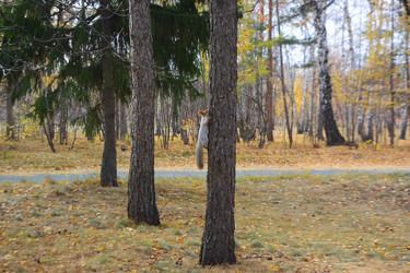 Similar image 21714411