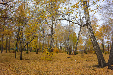 Similar image 21714412