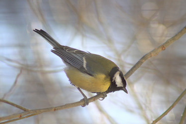 Similar image 21714413