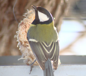 Similar image 21714414