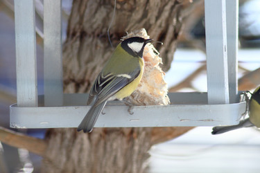 Similar image 21714415