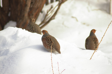 Similar image 21714416