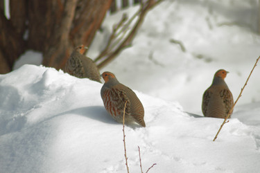 Similar image 21714417