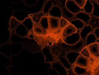 Similar image 21718604