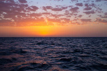 Similar image 21717441