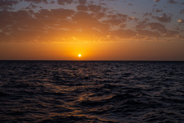 Similar image 21717442