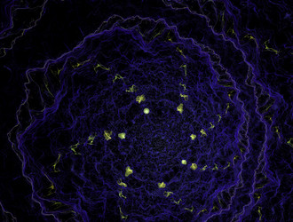 Similar image 21718612