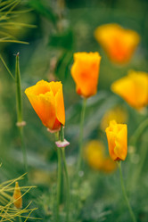 Similar image 21714844