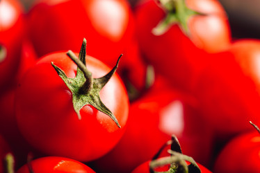 Similar image 21714884