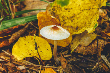 Similar image 21714901