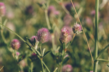 Similar image 21714930