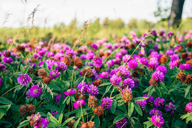 Similar image 21714931