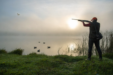 Similar image 21715334