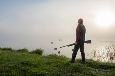 Similar image 21715340