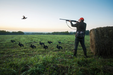 Similar image 21715351