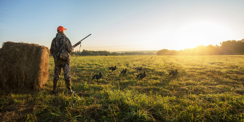 Similar image 21715352