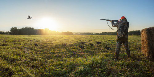 Similar image 21715356