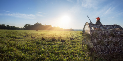 Similar image 21715359