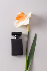 Similar image 21714942