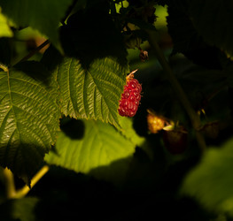 Similar image 21715546