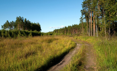 Similar image 21715547