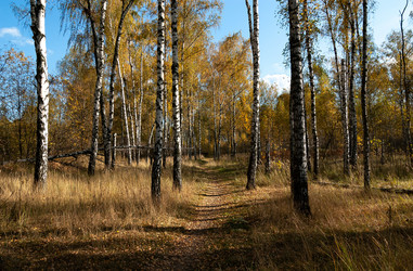 Similar image 21715555