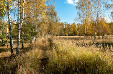 Similar image 21715556