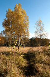 Similar image 21715557