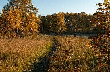 Similar image 21715560