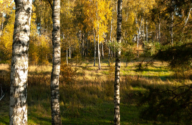 Similar image 21715561